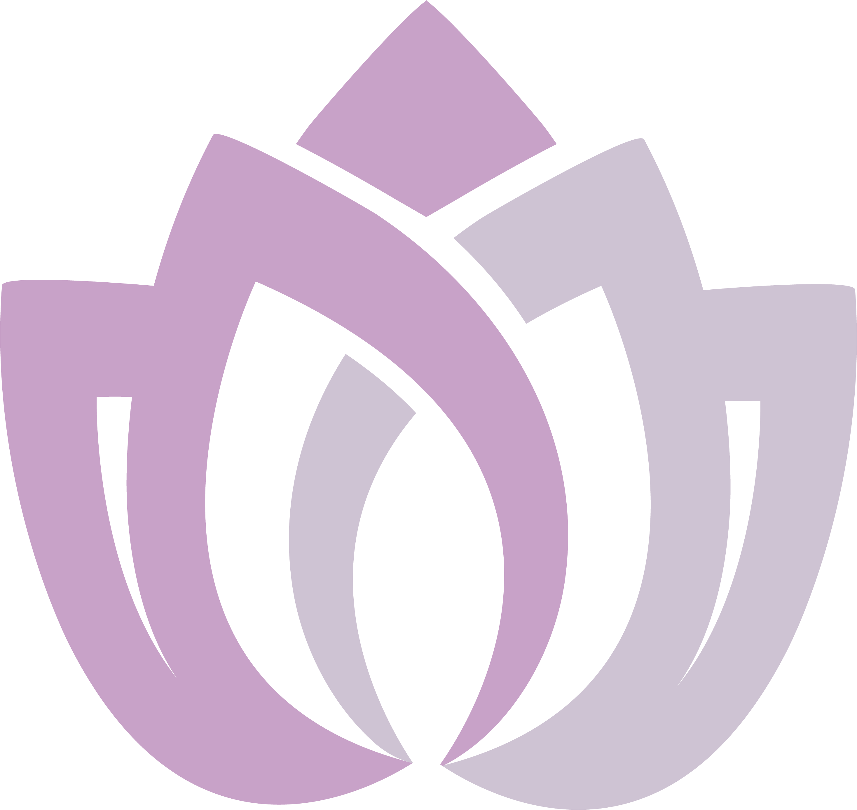 Le Reve Beaute Lotus Icon