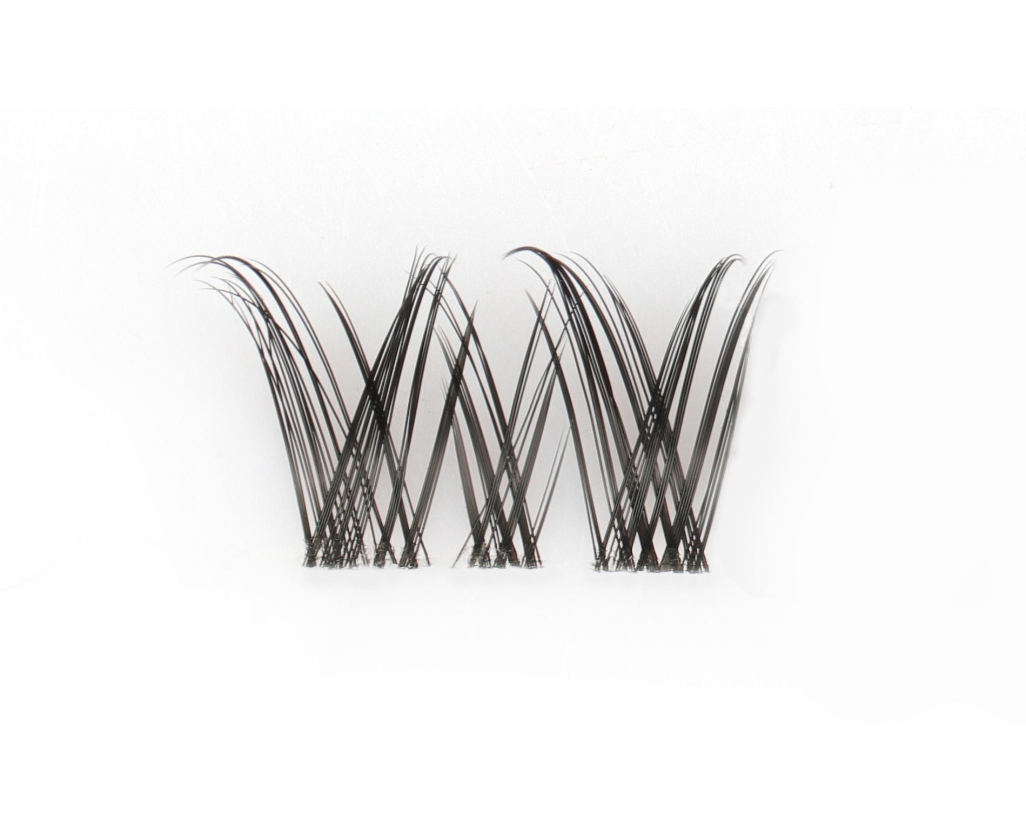 Sylvie Lashes