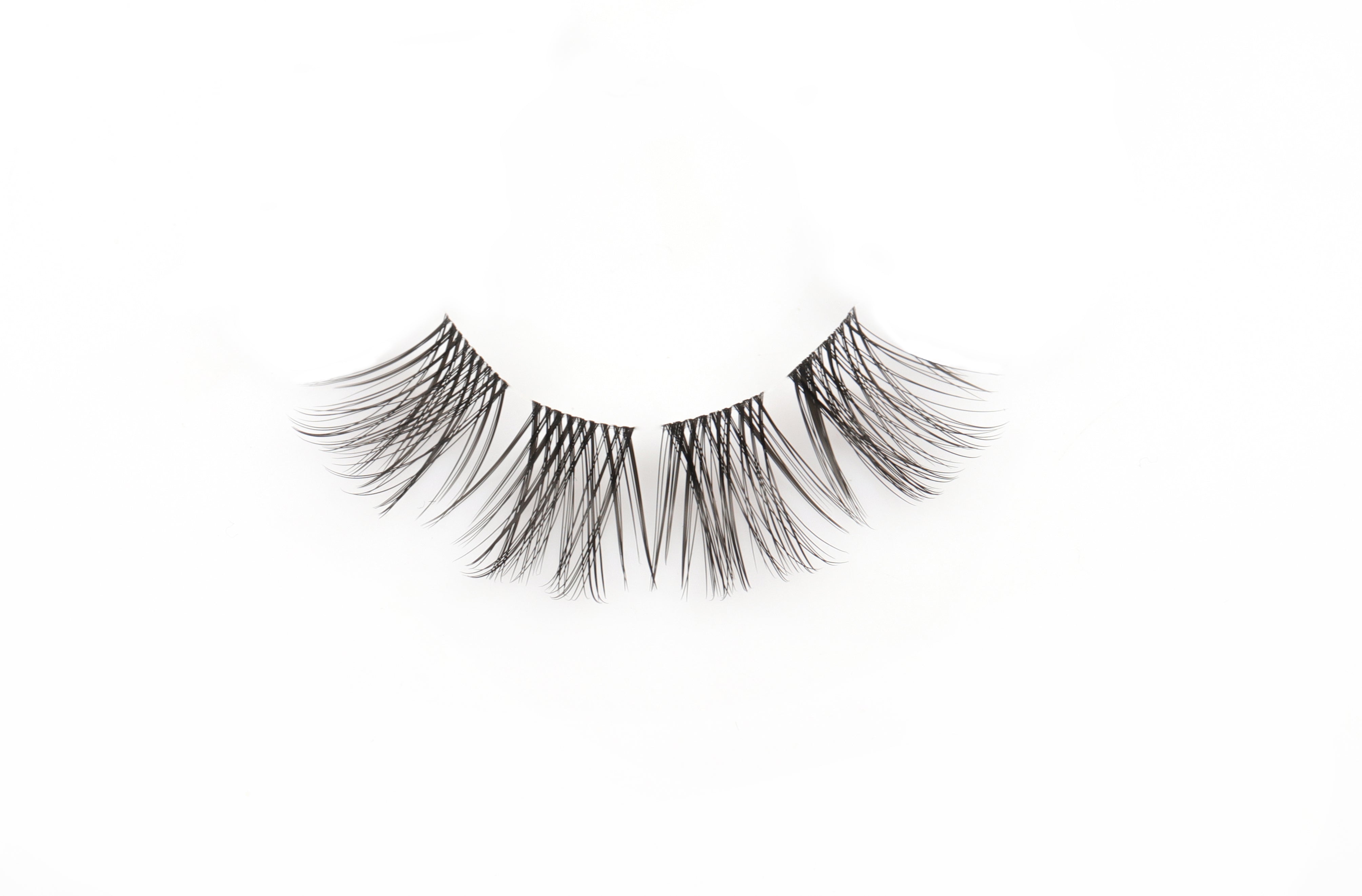 Lisette Lashes