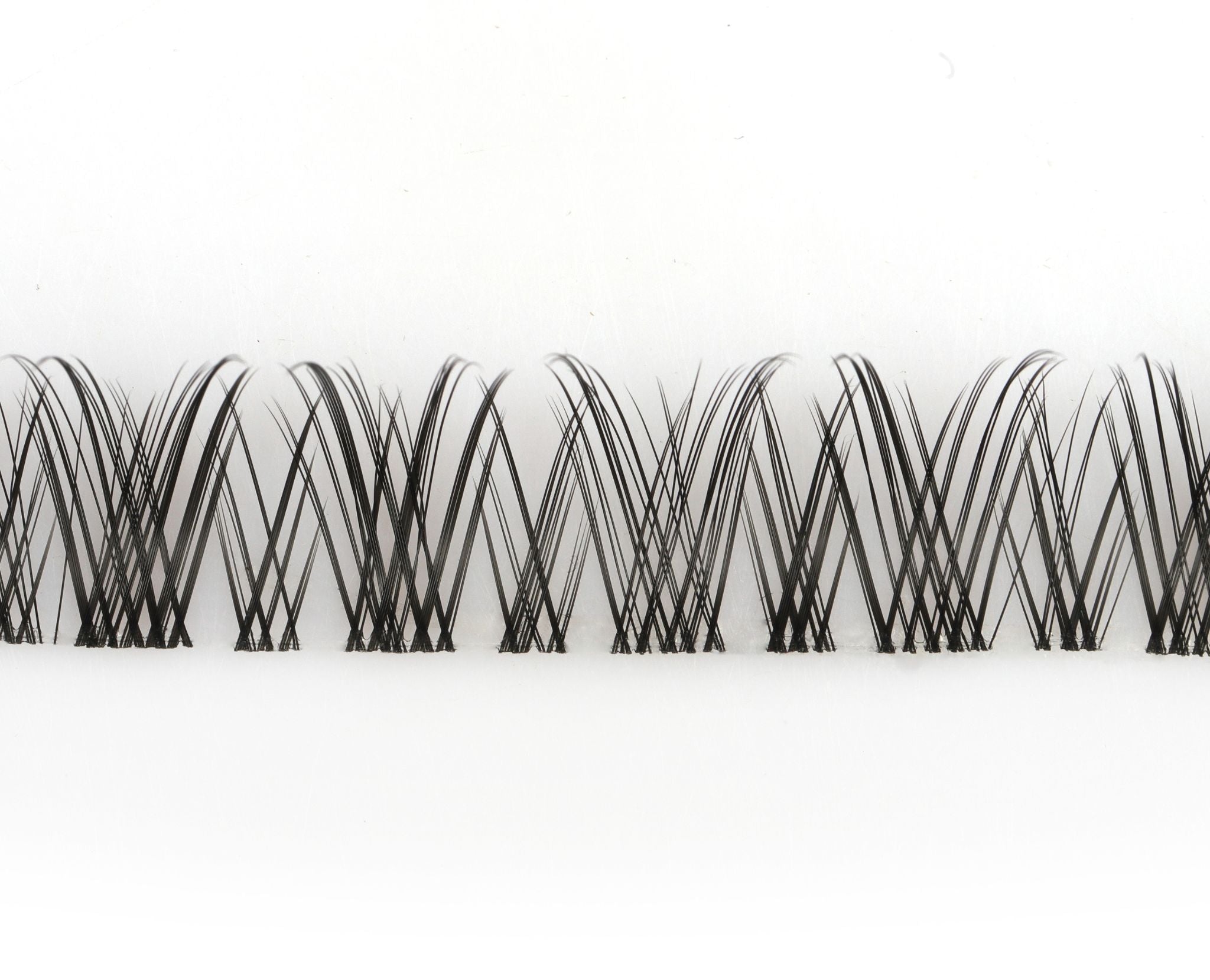 Sylvie Lashes