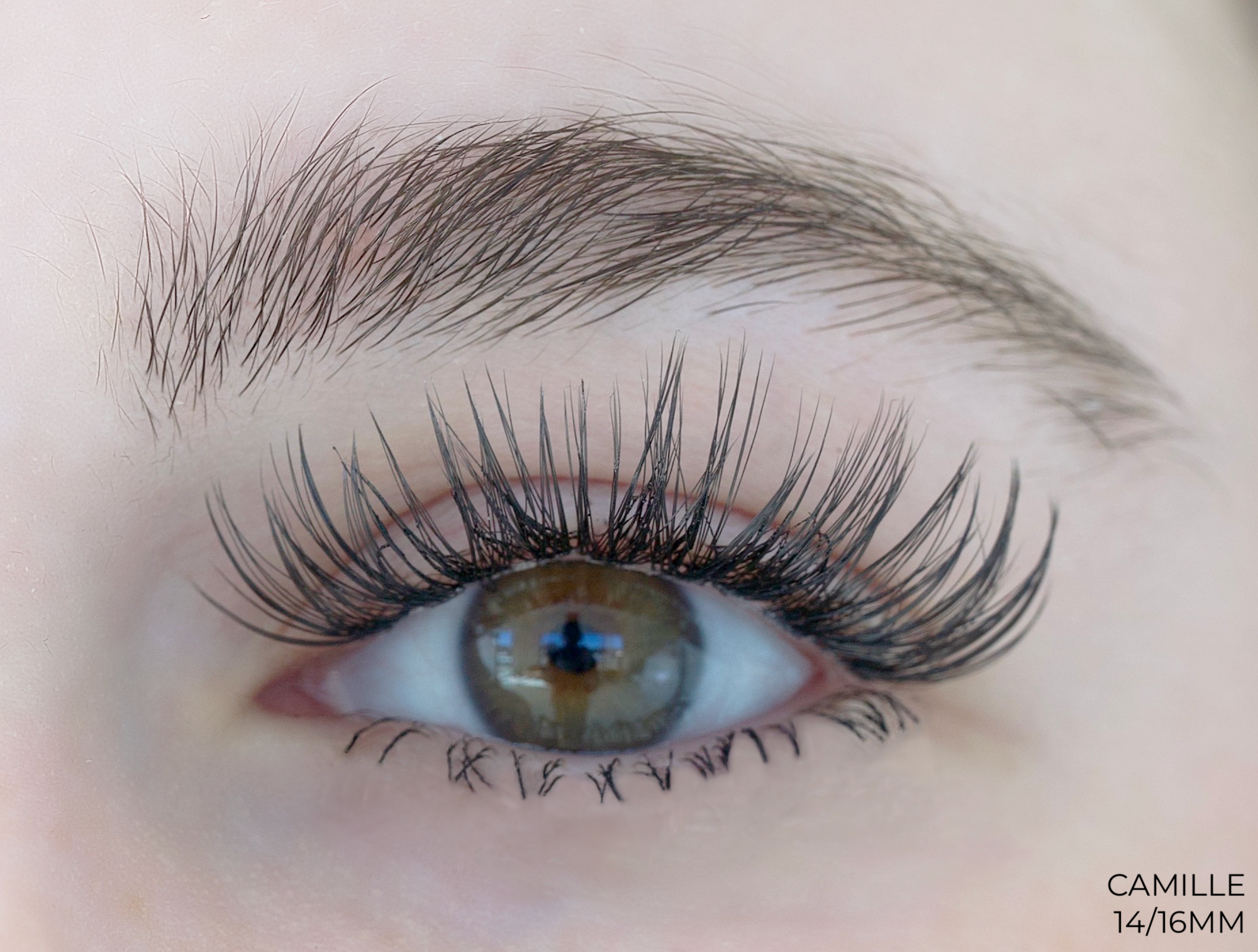 Camille Lashes