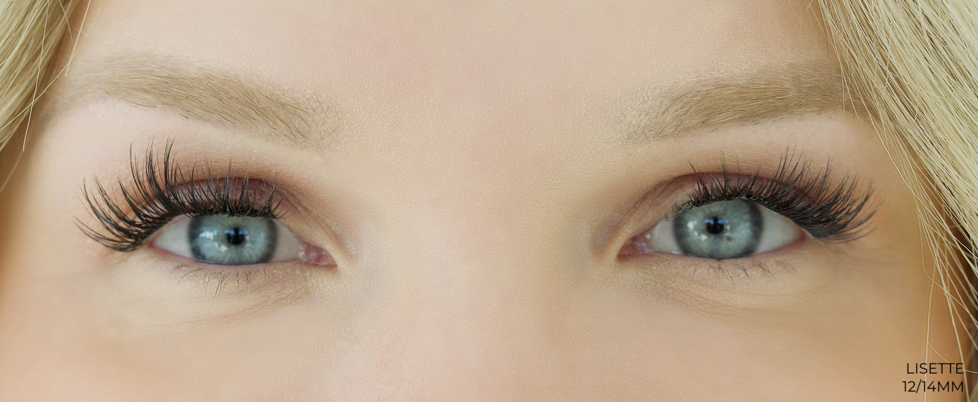 Lisette Lashes