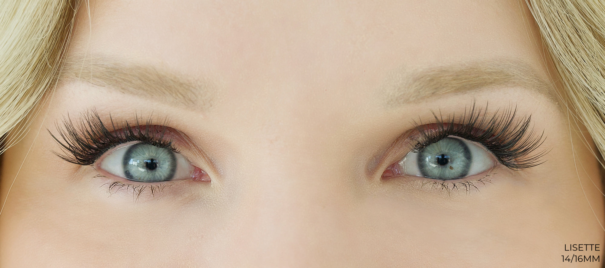 Lisette Lashes