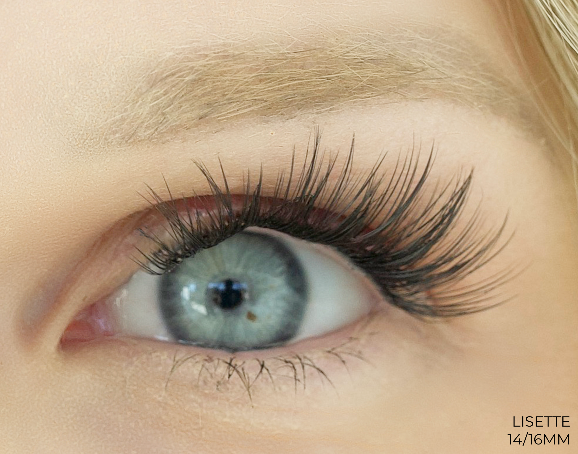 Lisette Lashes