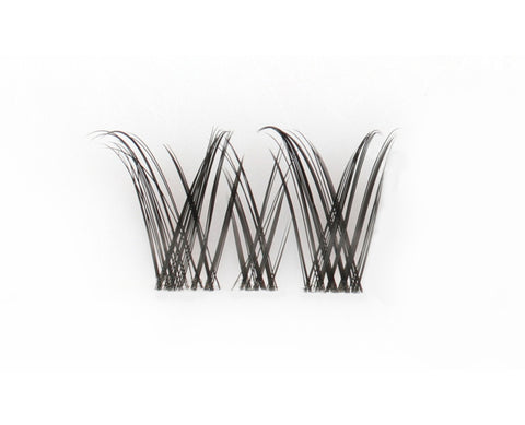 Sylvie Lashes