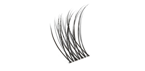 Chloé Lashes