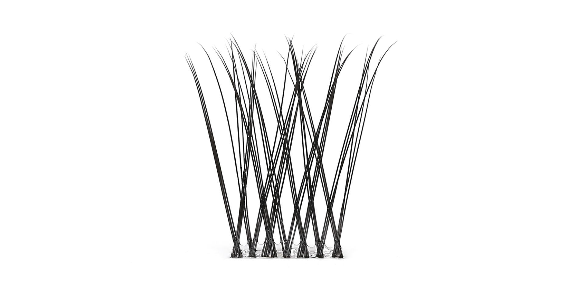 Chloé Lashes