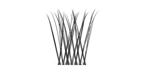 Chloé Lashes