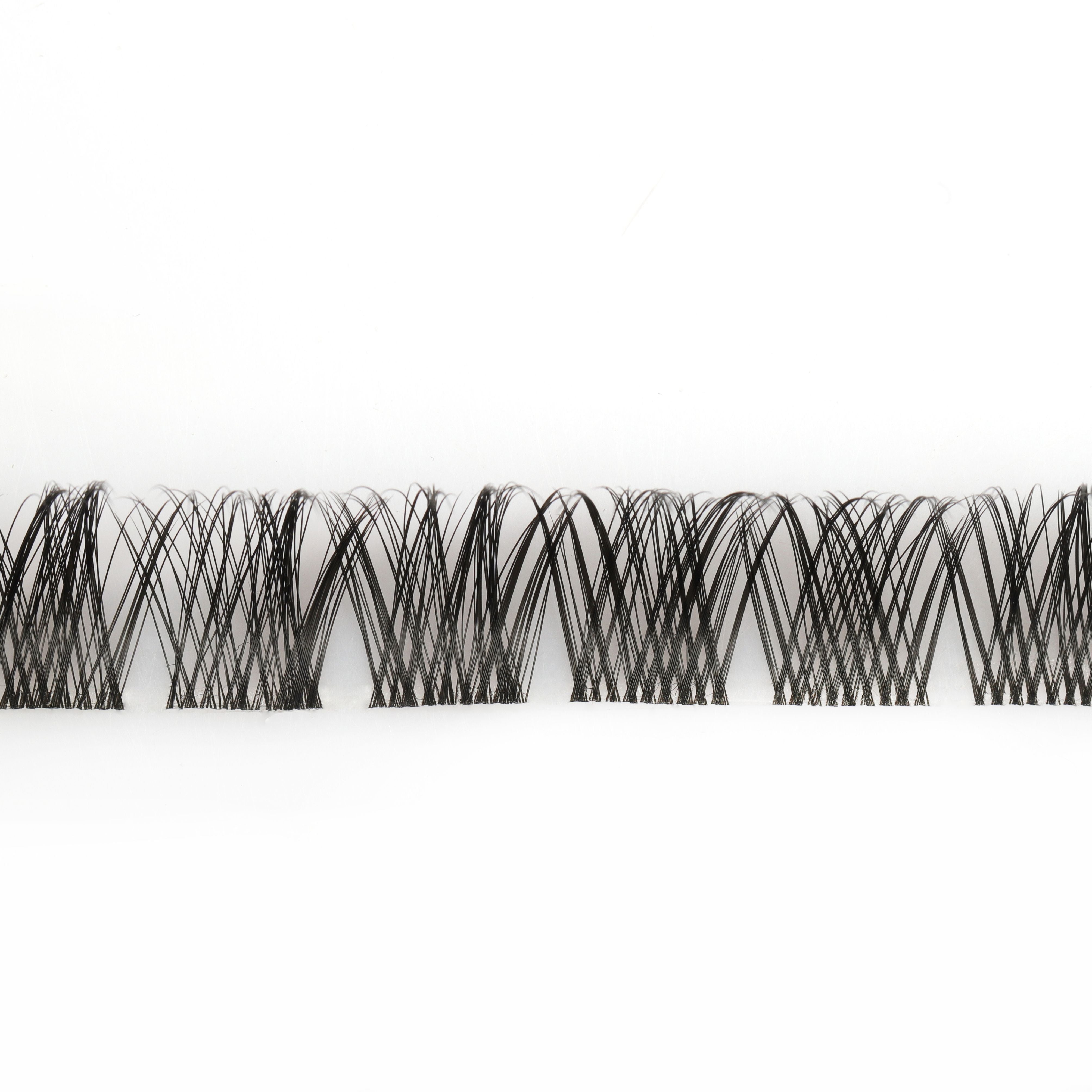 Lisette Lashes
