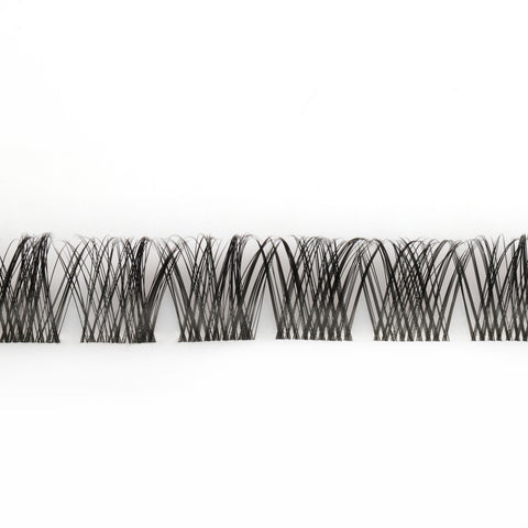 Lisette Lashes