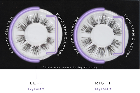 Lisette Lashes