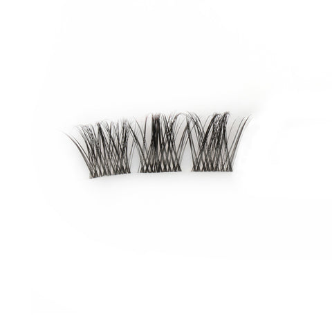 Lisette Lashes