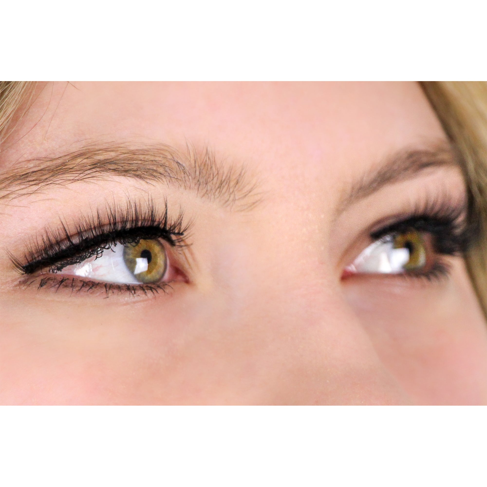 Chantilly Lashes