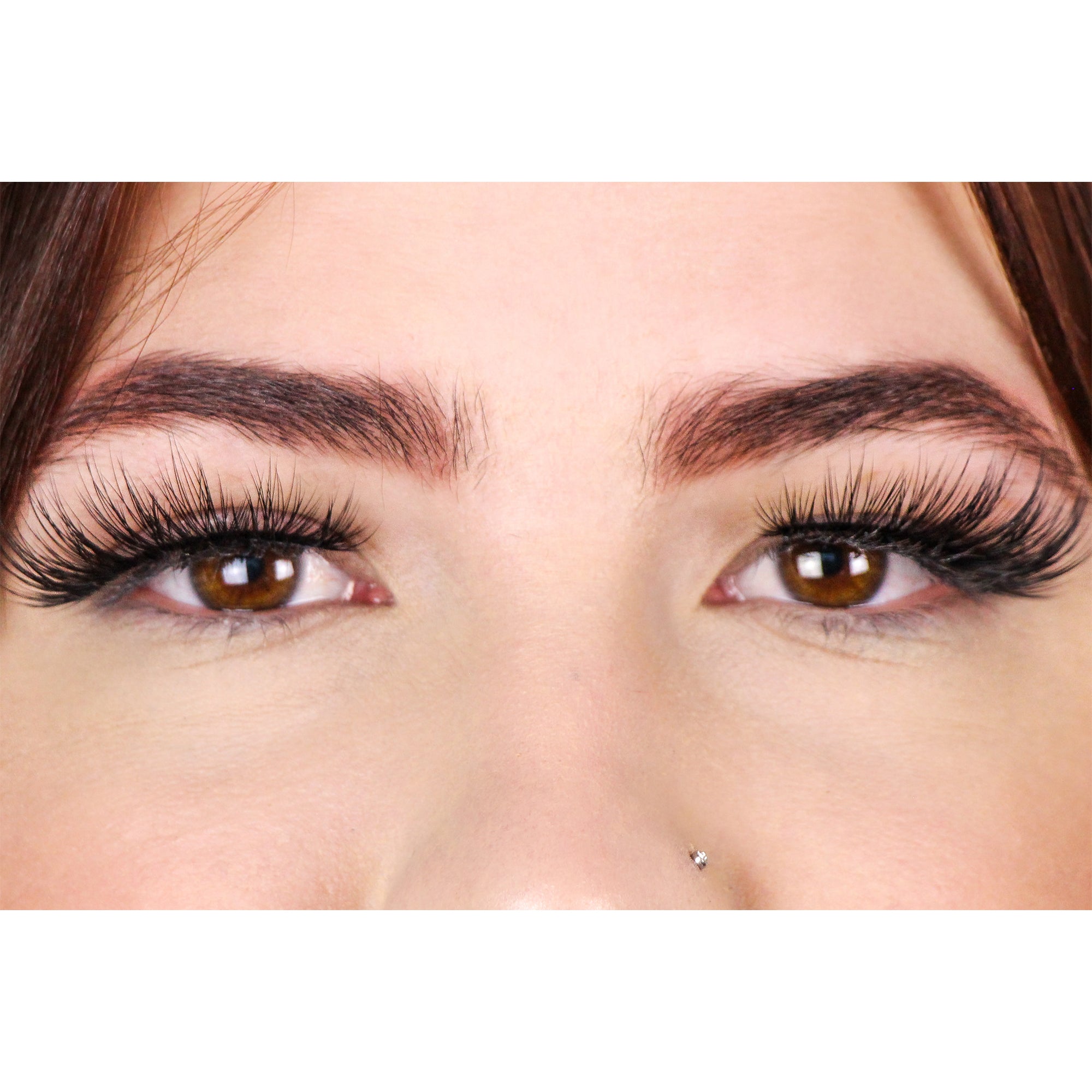Toulouse Lashes