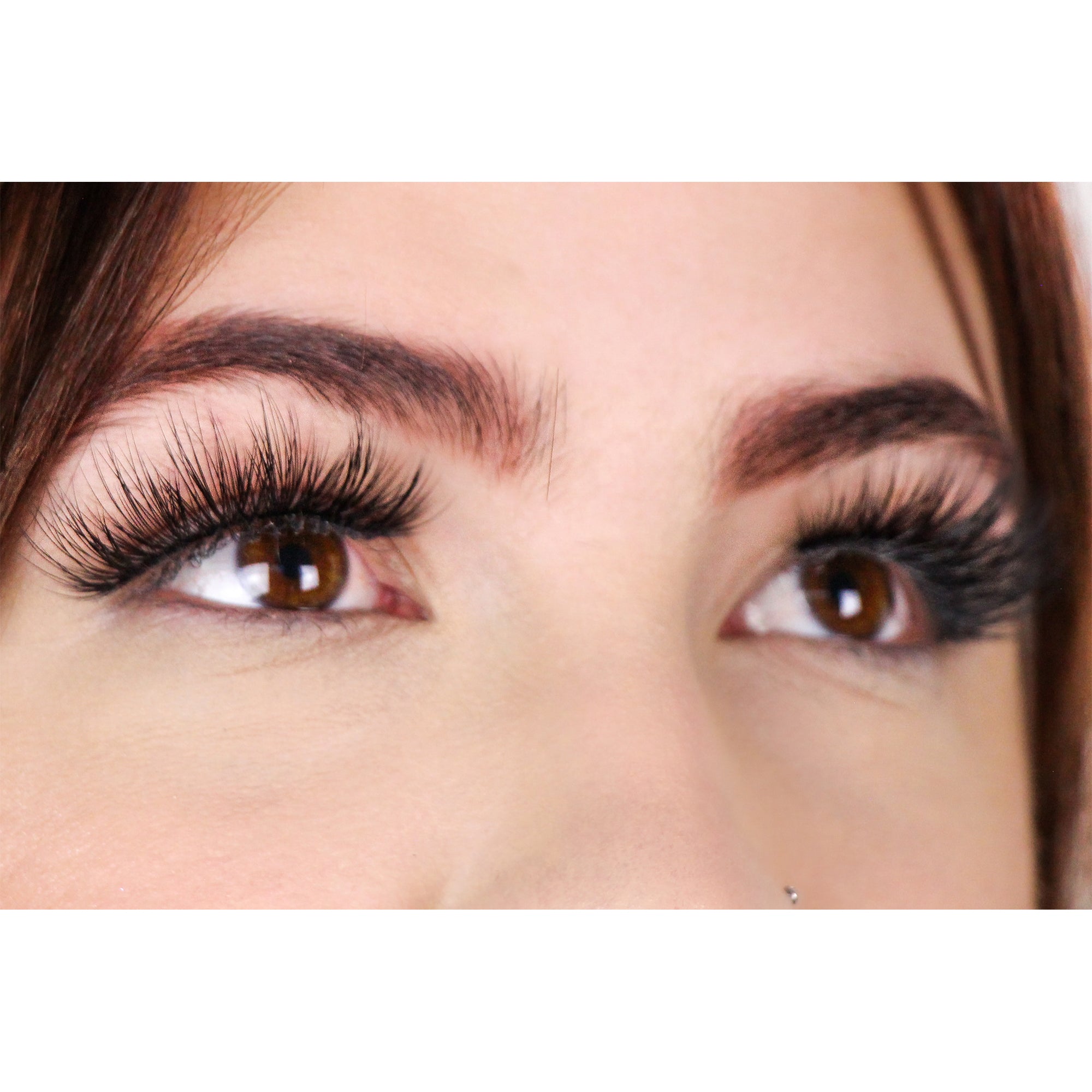 Toulouse Lashes