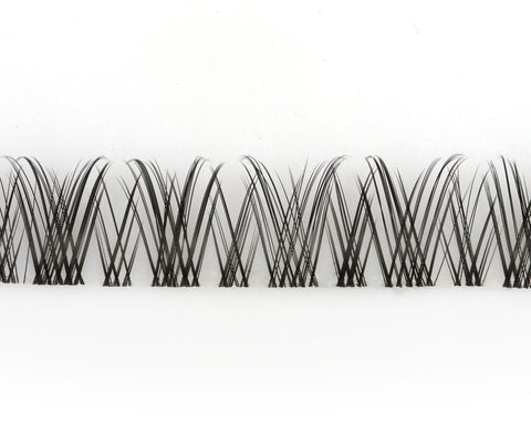 Sylvie Lashes