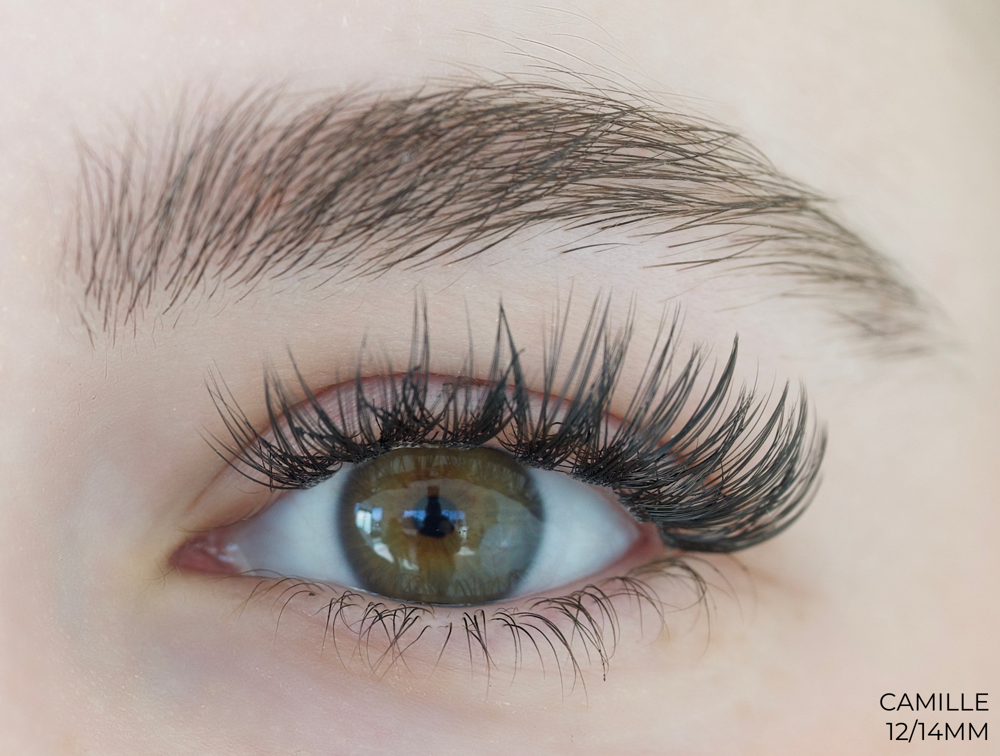 Camille Lashes