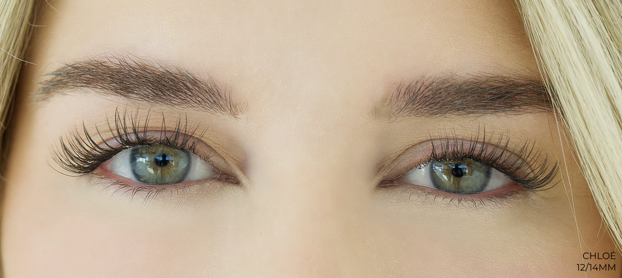 Chloé Lashes