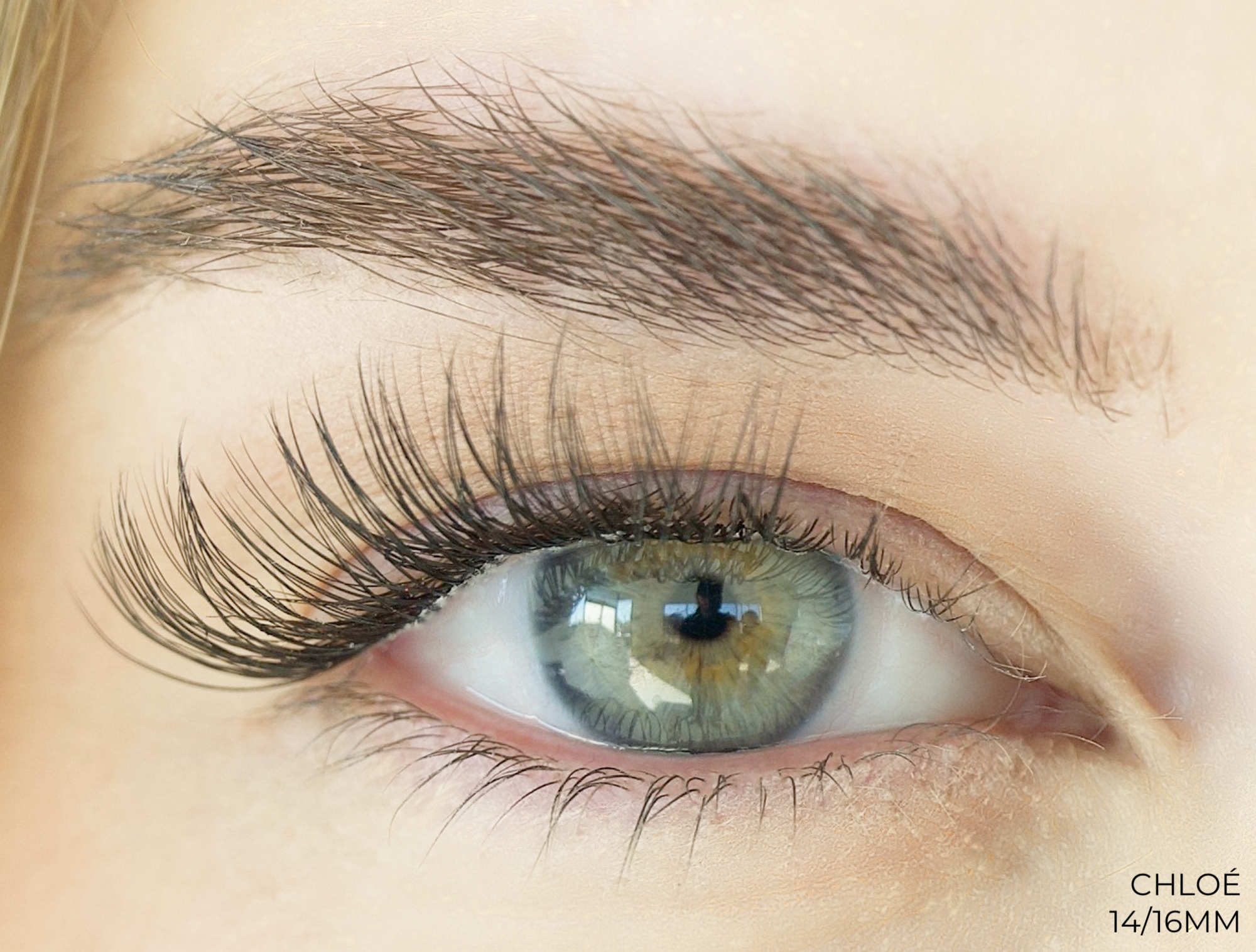 Chloé Lashes