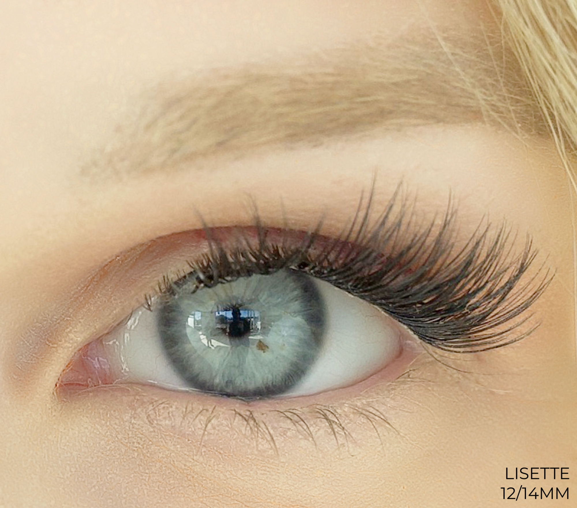 Lisette Lashes