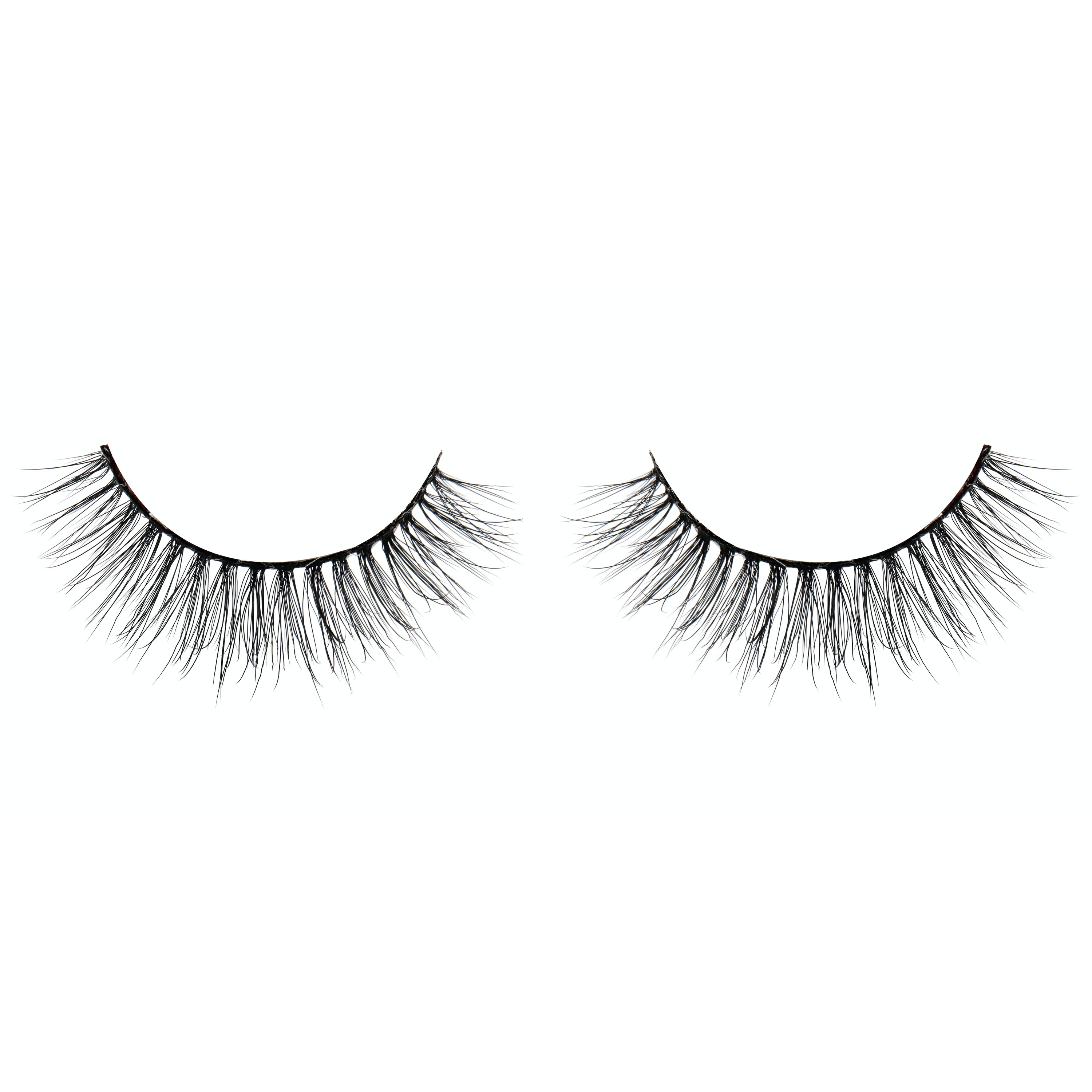 paloma lashes