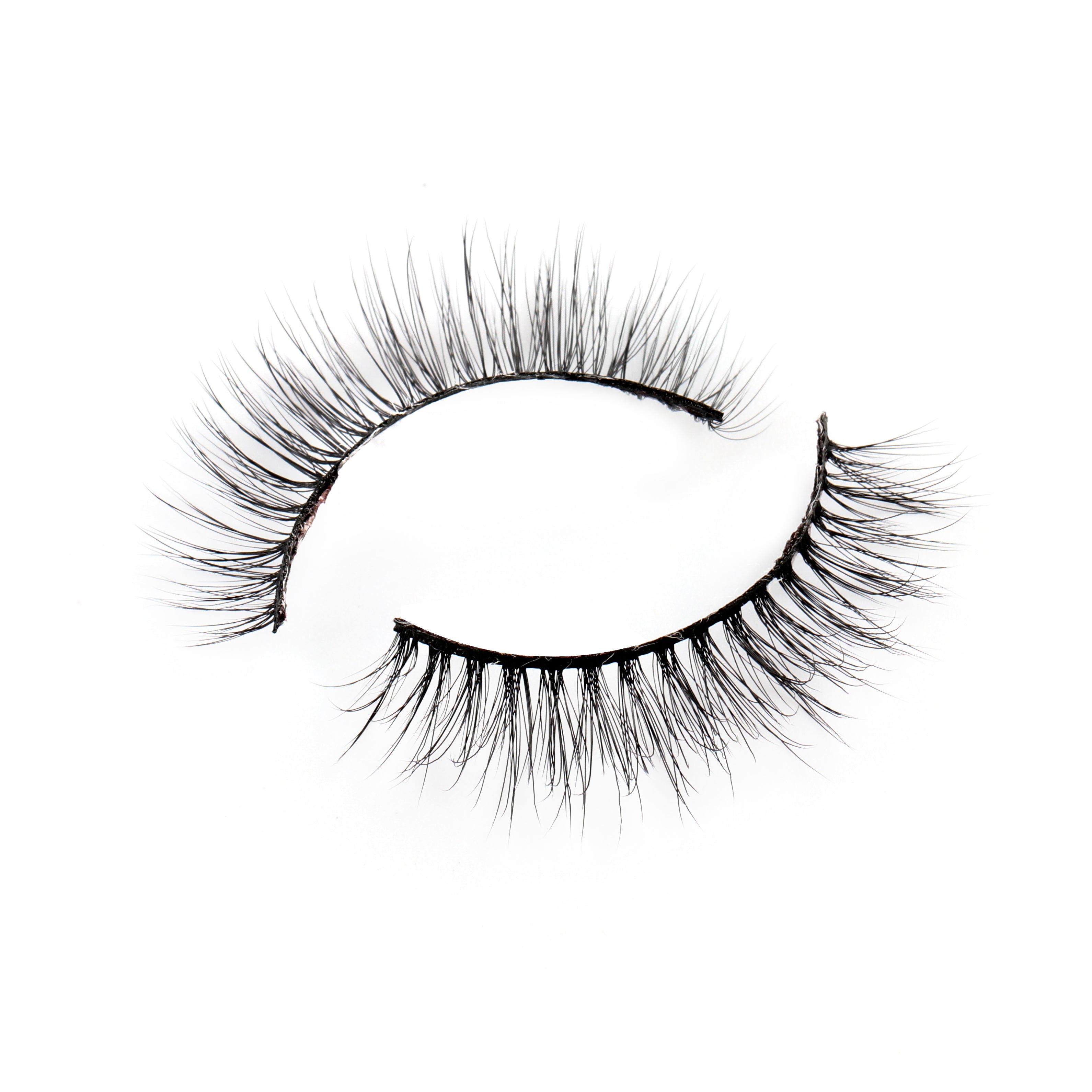 paloma lashes