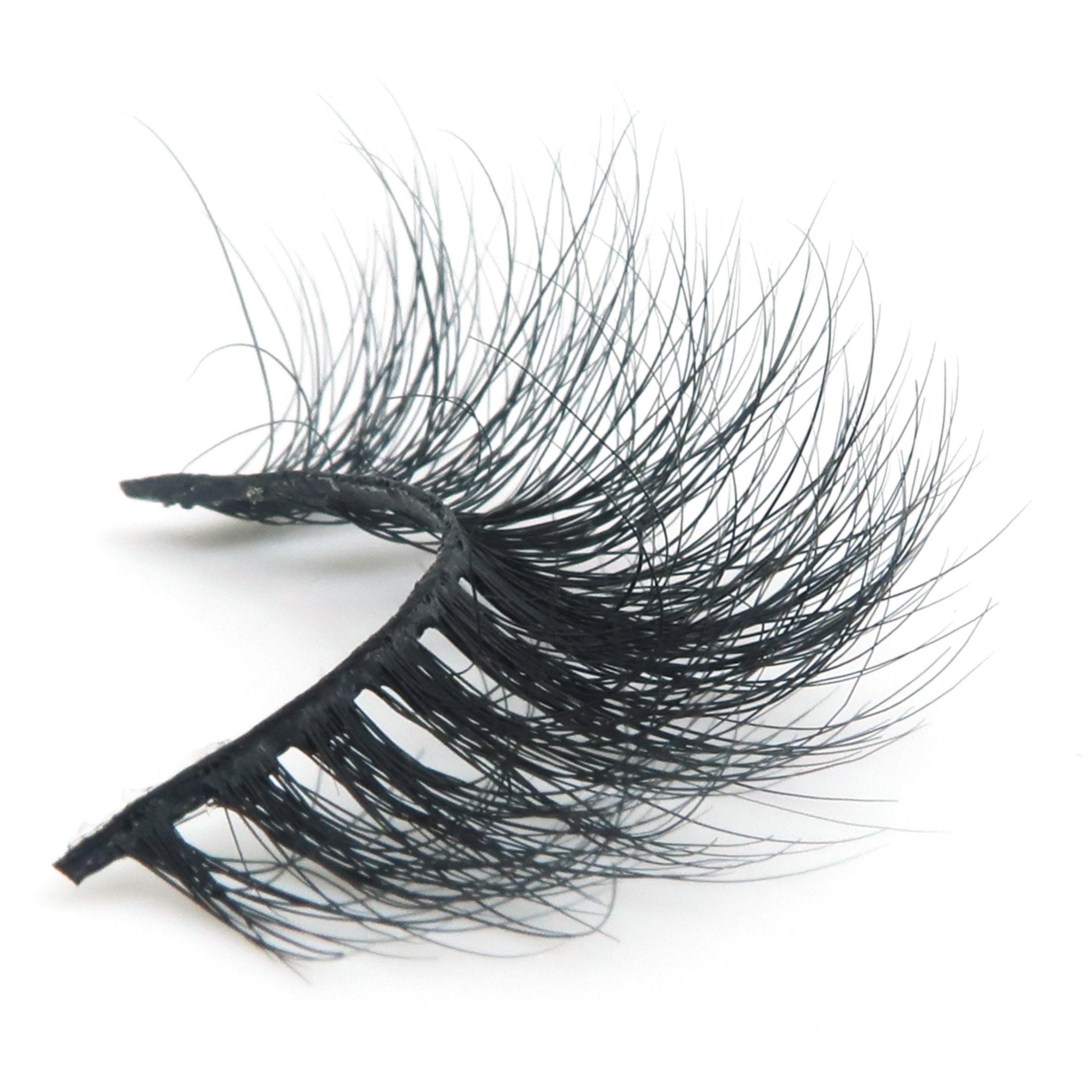 saint germain lashes