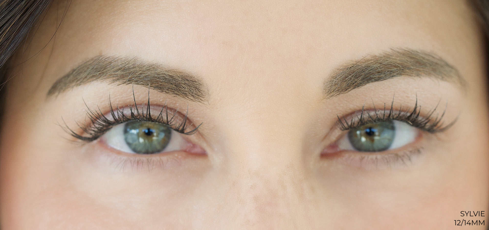Sylvie Lashes
