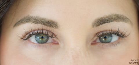 Sylvie Lashes