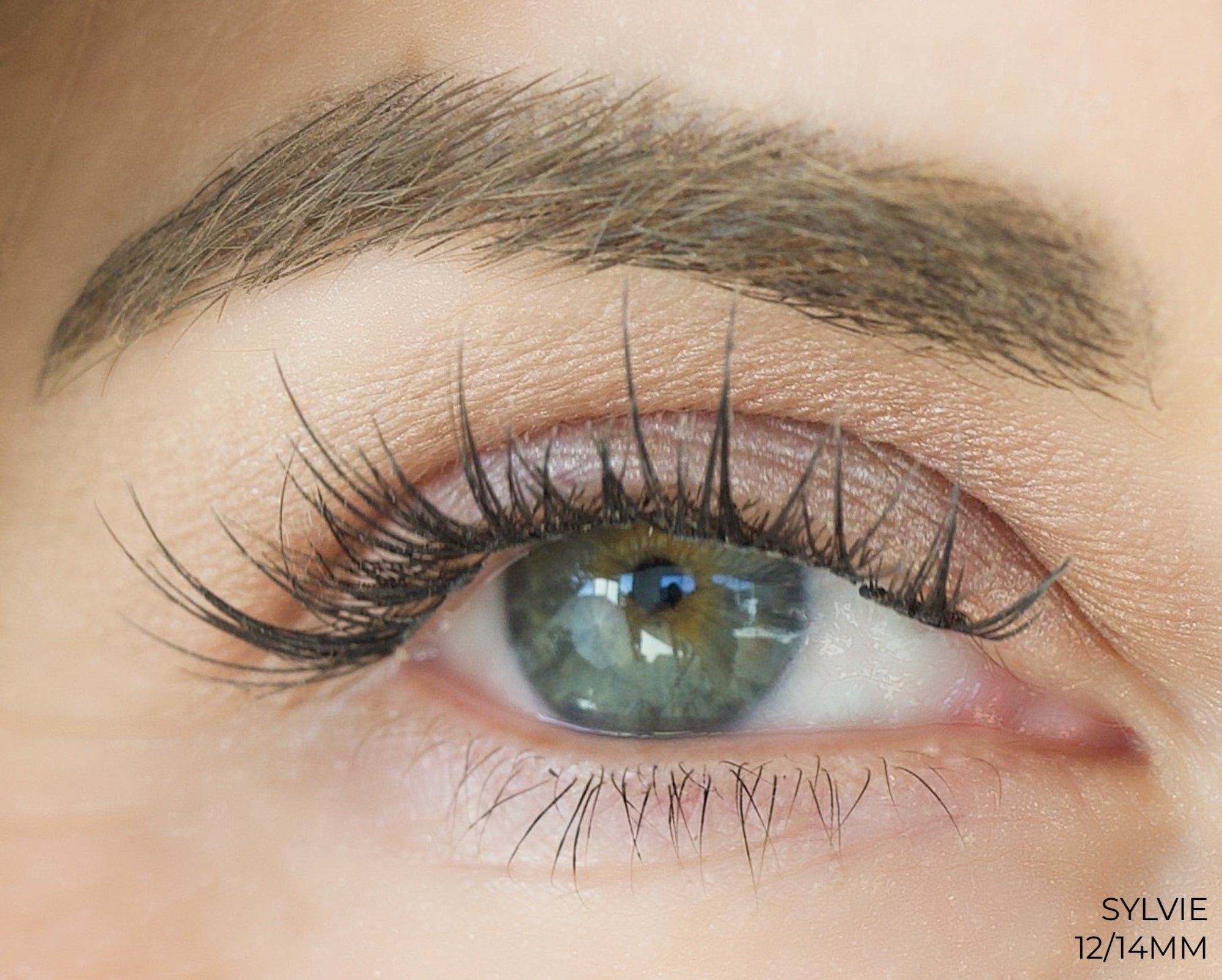 Sylvie Lashes