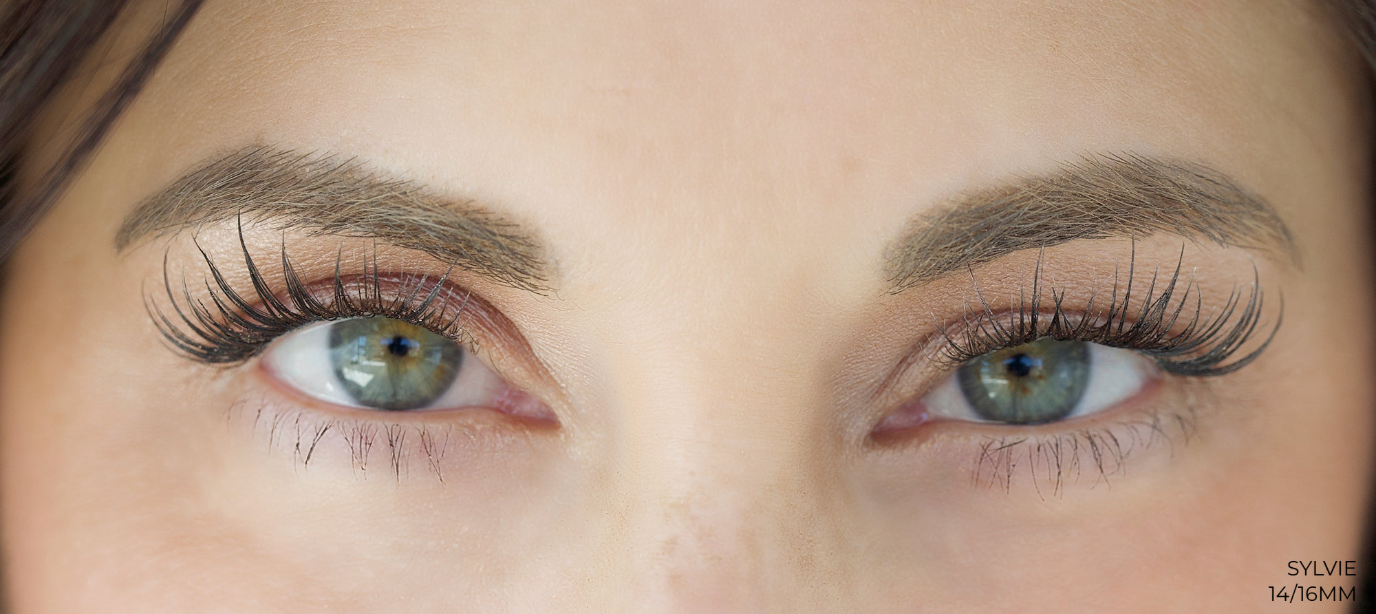 Sylvie Lashes