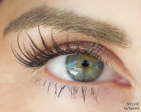Sylvie Lashes